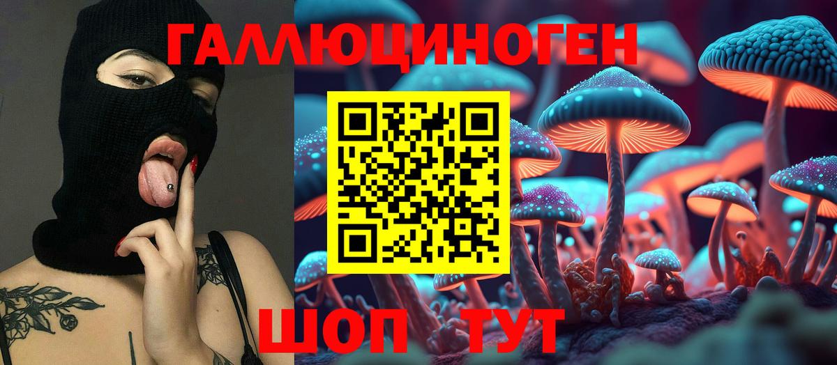 Псилоцибиновые грибы Psilocybe Лабинск